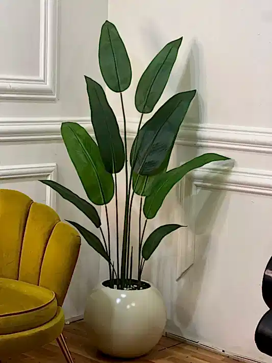 Yapay Starliçeli Küçük Top Saksı Krem