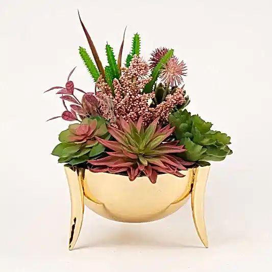 Yapay Sukulentli Gold Fildişi Vazo