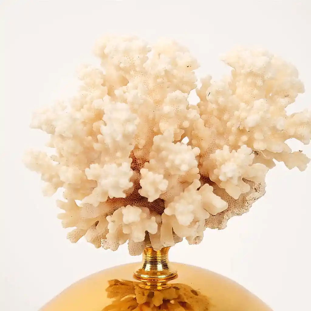 Doğal Mercanlı Dövmeli İkili Küre Gold