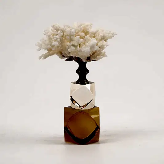 Kristal Kaideli Doğal Mercan