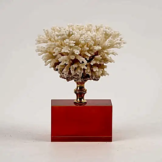 Kristal Kaideli Doğal Mercan Turuncu