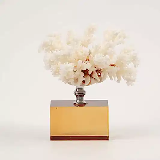 Kristal Kaideli Doğal Mercan Kahve