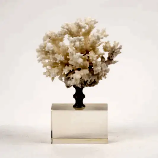 Kristal Kaideli Doğal Mercan Bal