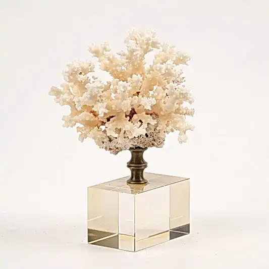 Kristal Kaideli Doğal Mercan Bal