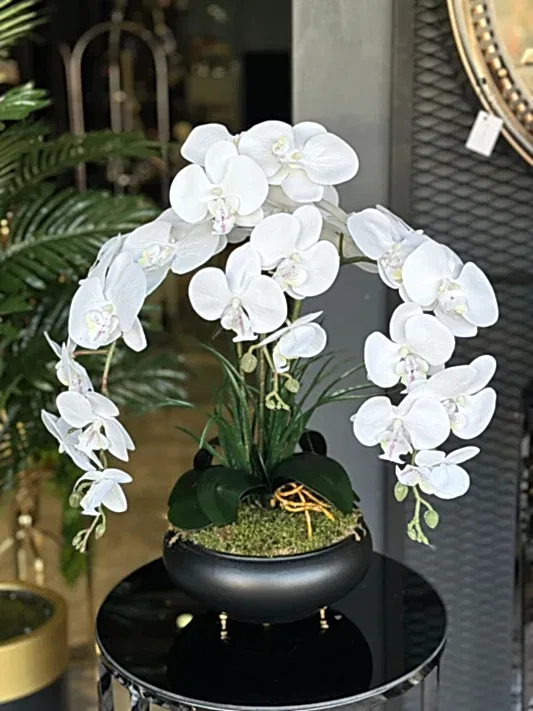 3 Dal Orkideli Siyah Yassı Vazo