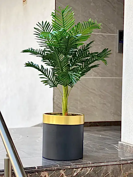 Yapay Arekalı Gold Çemberli Saksı