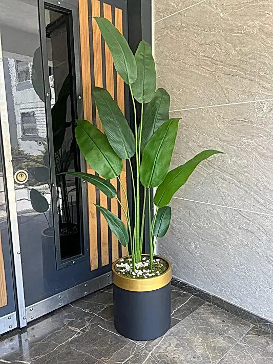 Yapay Starliçeli Küçük Davul Saksı