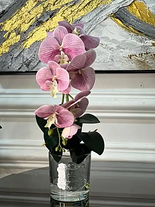 Armalı Cam Vazoda Islak Orkide Tanzimi No:1