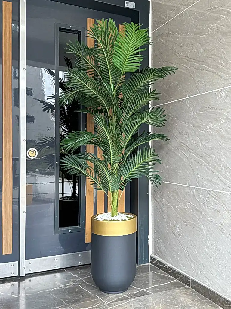 Siyah Davul Saksı Gold Şeritli Arekalı No:1