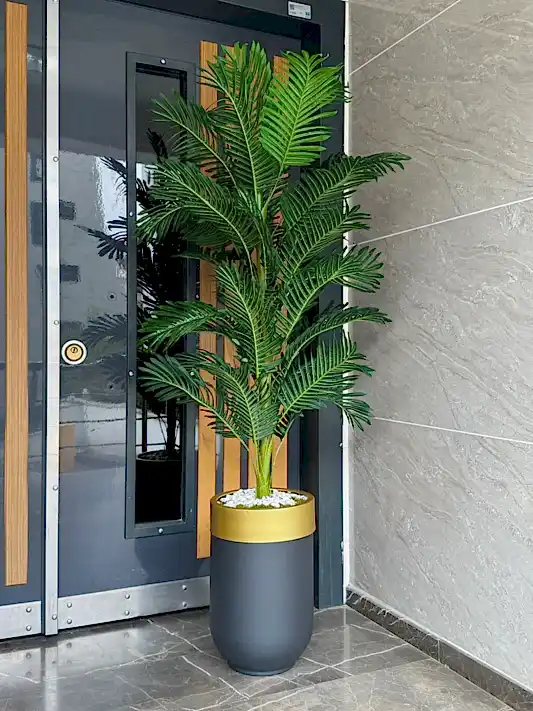 Siyah Davul Saksı Gold Şeritli Arekalı No:1