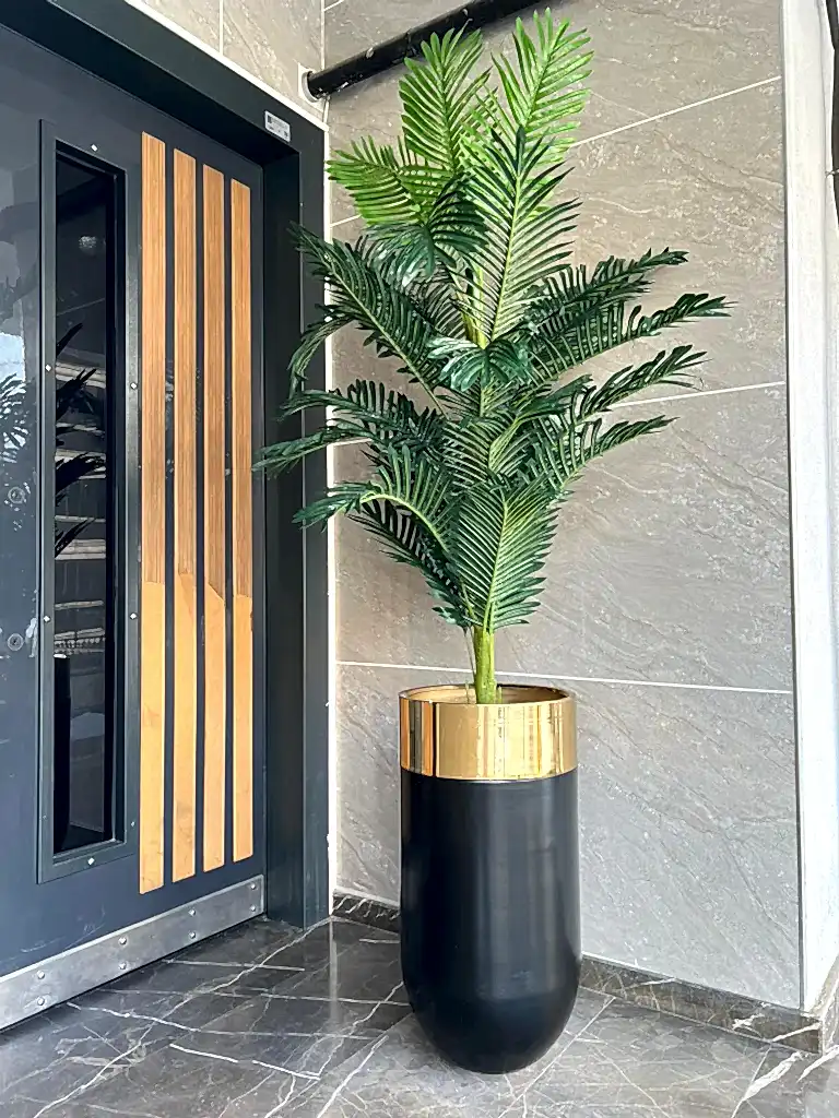 Yapay Büyük Arekalı Siyah Saksı Gold Çember