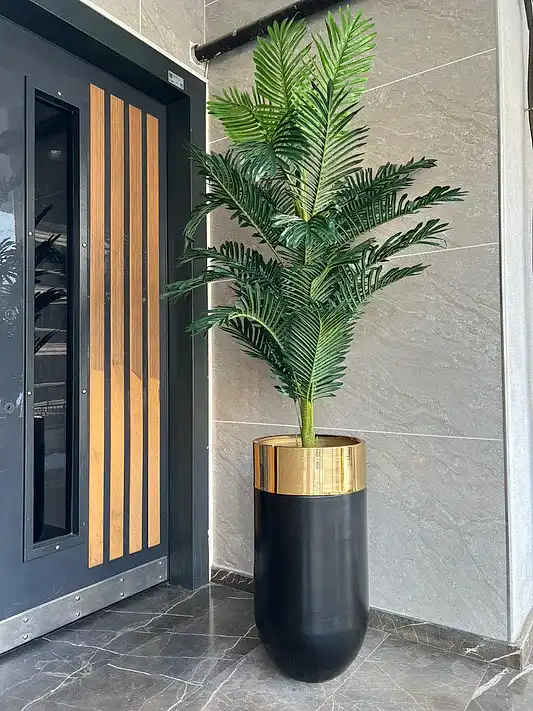 Yapay Büyük Arekalı Siyah Saksı Gold Çember