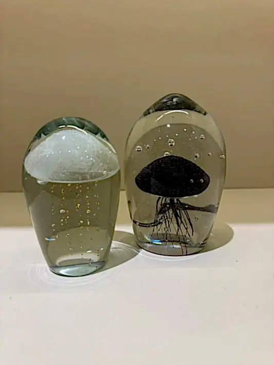 İkili Denizanası Dekor (Siyah-Beyaz)