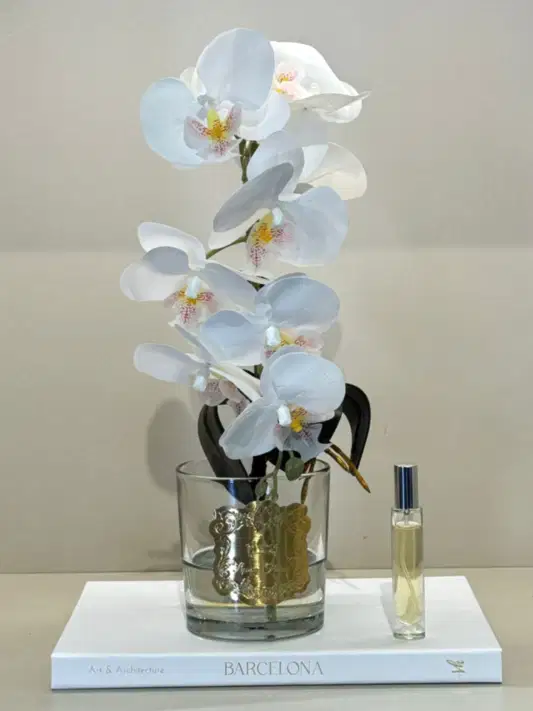 Armalı Cam Vazoda Islak Orkide Tanzimi No:2