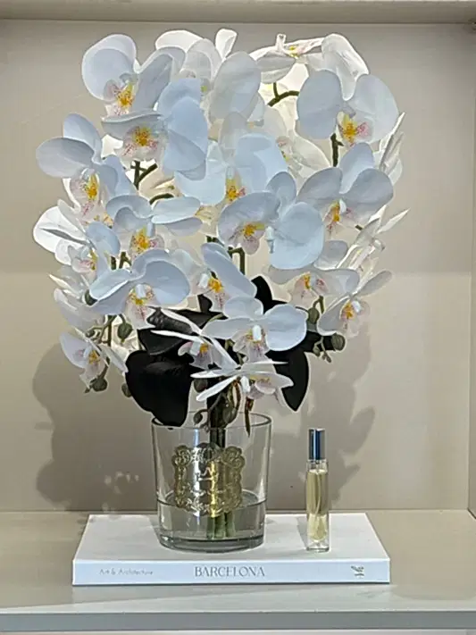 Armalı Cam Vazoda Islak Orkide Tanzimi No:10